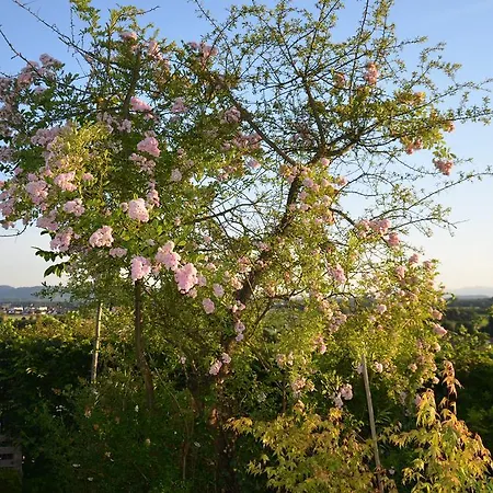 Ferienhaus Refugium Herbolzheim